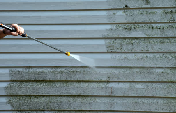 Best Attic Mold Removal  in Ellijay, GA